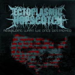 Rebuilding What We Once Destroyed